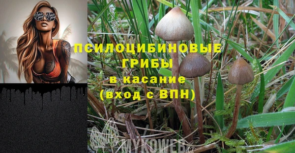 дмт Алексеевка