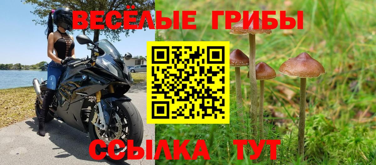 Галлюциногенные грибы Magic Shrooms  Вход с VPN  Ленинск-Кузнецкий 