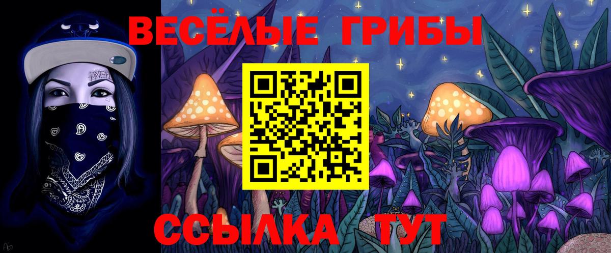 Псилоцибиновые грибы прущие грибы Ленинск-Кузнецкий