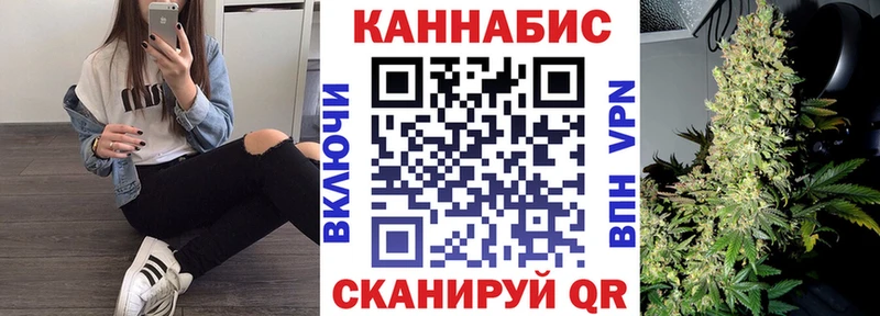 Шишки марихуана план  Ленинск-Кузнецкий 